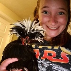 Meet your Posher, Molly